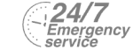 24/7 Emergency Service Pest Control in Molesey, East Molesey, West Molesey, KT8. Call Now! 020 8166 9746